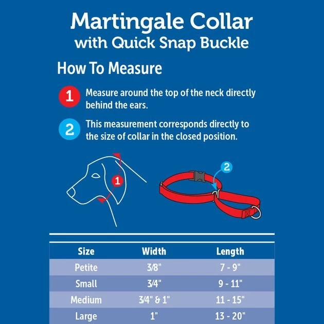 PetSafe Quick Snap Buckle Nylon Martingale Dog Collar 3 PetSafe Quick Snap Buckle Nylon Martingale Dog Collar - Image 3