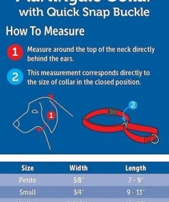 PetSafe Quick Snap Buckle Nylon Martingale Dog Collar 7 PetSafe Quick Snap Buckle Nylon Martingale Dog Collar -PetSafe Store 70786 PT8. SY630 V1542835622