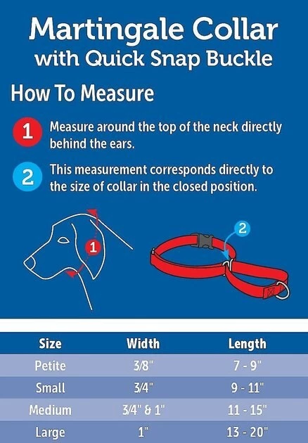 PetSafe Quick Snap Buckle Nylon Martingale Dog Collar 4 PetSafe Quick Snap Buckle Nylon Martingale Dog Collar - Image 4