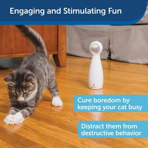 PetSafe Bolt Interactive Laser Cat Toy 5 PetSafe Bolt Interactive Laser Cat Toy - Image 5