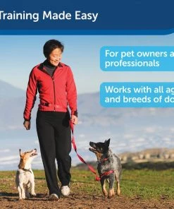 PetSafe Manners Minder Treat & Train Remote Reward Behavior Dog Trainer 10 PetSafe Manners Minder Treat & Train Remote Reward Behavior Dog Trainer -PetSafe Store 70912 PT4. SY630 V1617321473