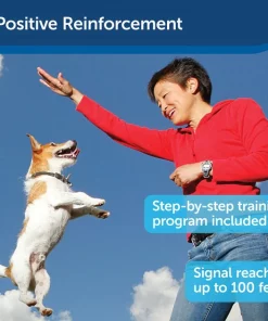 PetSafe Manners Minder Treat & Train Remote Reward Behavior Dog Trainer 11 PetSafe Manners Minder Treat & Train Remote Reward Behavior Dog Trainer -PetSafe Store 70912 PT5. SY630 V1617318878