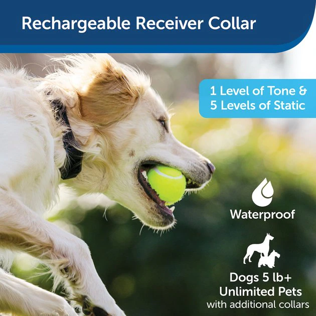 PetSafe YardMax Extra Receiver Collar for In-Ground Fence System 2 PetSafe YardMax Extra Receiver Collar for In-Ground Fence System - Image 2