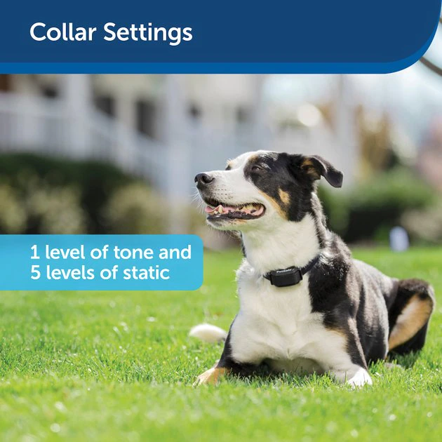 PetSafe YardMax Extra Receiver Collar for In-Ground Fence System 3 PetSafe YardMax Extra Receiver Collar for In-Ground Fence System - Image 3
