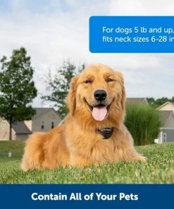 PetSafe Stay+Play Wireless Fence Receiver Collar -PetSafe Store 77164 PT3. SY630 V1657661026