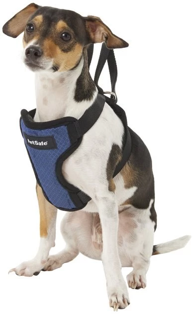 PetSafe Happy Ride Car Safety Dog Harness 3 PetSafe Happy Ride Car Safety Dog Harness - Image 3