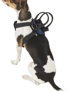 PetSafe Happy Ride Car Safety Dog Harness 9 PetSafe Happy Ride Car Safety Dog Harness -PetSafe Store 79309 PT3. SY630 V1575419083
