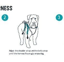 PetSafe Happy Ride Car Safety Dog Harness 11 PetSafe Happy Ride Car Safety Dog Harness -PetSafe Store 79309 PT5. SY630 V1582065843