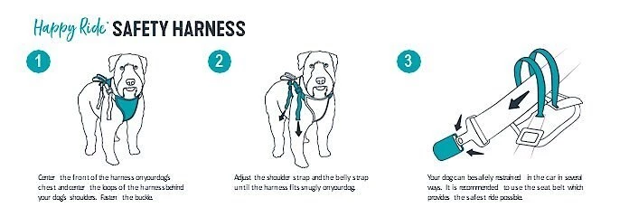 PetSafe Happy Ride Car Safety Dog Harness 6 PetSafe Happy Ride Car Safety Dog Harness - Image 6