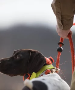 SportDOG UplandHunter 1875 Training Dog Collar 11 SportDOG UplandHunter 1875 Training Dog Collar -PetSafe Store 79582 PT5. SY630 V1626451608