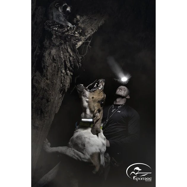 SportDOG HoundHunter 3225 Training Dog Collar 4 SportDOG HoundHunter 3225 Training Dog Collar - Image 4