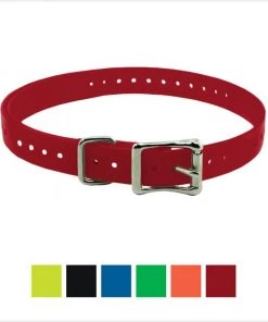 SportDOG Replacement Strap Dog Collar, 1-in
