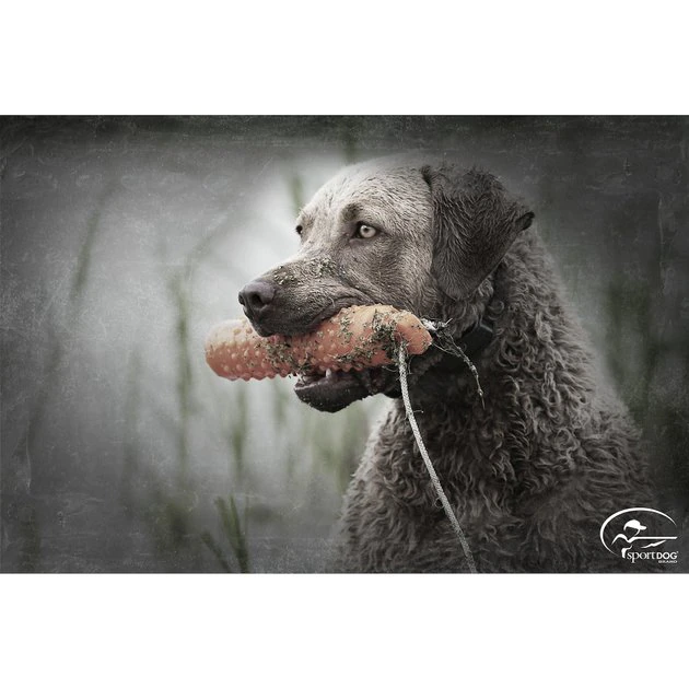 SportDOG Regular Plastic Dog Training Dummy 2 SportDOG Regular Plastic Dog Training Dummy - Image 2