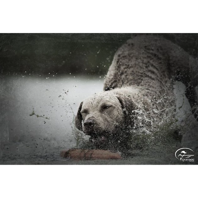 SportDOG Regular Plastic Dog Training Dummy 3 SportDOG Regular Plastic Dog Training Dummy - Image 3