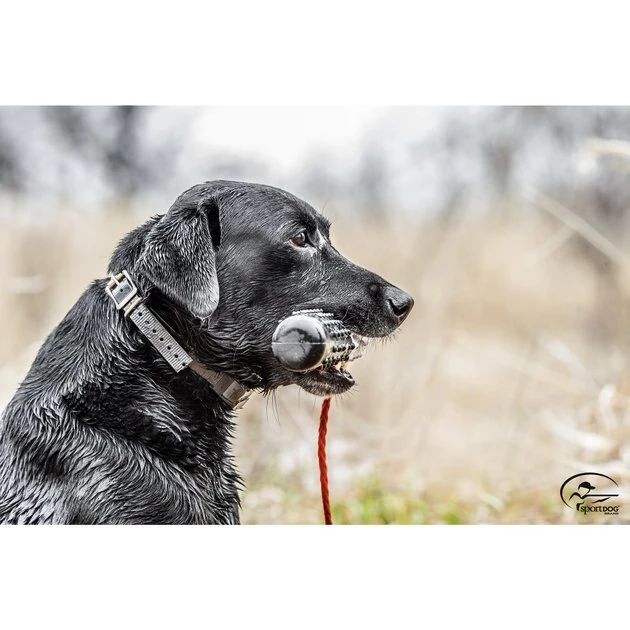 SportDOG 50/50 Plastic Dog Training Dummy, Black/White 3 SportDOG 50/50 Plastic Dog Training Dummy, Black/White - Image 3