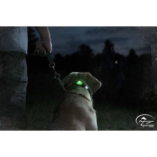 SportDOG Locator Beacon for Dog Collars 2 SportDOG Locator Beacon for Dog Collars - Image 2