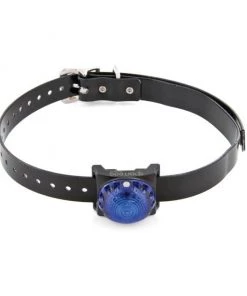 SportDOG Locator Beacon for Dog Collars 9 SportDOG Locator Beacon for Dog Collars -PetSafe Store 79974 PT2. SY630 V1657661028