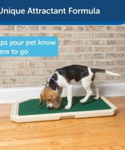Piddle Place Bio+ Treatment Turf Pad Maintenance for Dogs & Cats 9 Piddle Place Bio+ Treatment Turf Pad Maintenance for Dogs & Cats -PetSafe Store 82174 PT3. SY630 V1619794043