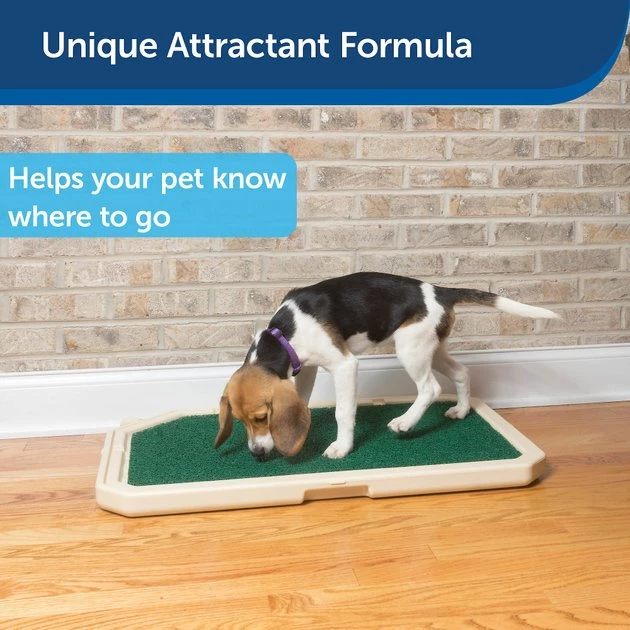 Piddle Place Bio+ Treatment Turf Pad Maintenance for Dogs & Cats 4 Piddle Place Bio+ Treatment Turf Pad Maintenance for Dogs & Cats - Image 4