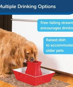 Drinkwell Pagoda Ceramic Dog & Cat Fountain 15 Drinkwell Pagoda Ceramic Dog & Cat Fountain -PetSafe Store 89191 PT6. SY630 V1598894161