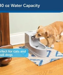 Drinkwell Mini Plastic Dog & Cat Fountain 11 Drinkwell Mini Plastic Dog & Cat Fountain -PetSafe Store 89194 PT3. SY630 V1590606133