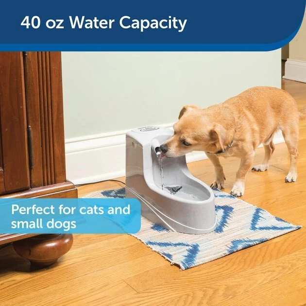 Drinkwell Mini Plastic Dog & Cat Fountain 4 Drinkwell Mini Plastic Dog & Cat Fountain - Image 4