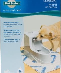 Drinkwell Mini Plastic Dog & Cat Fountain 15 Drinkwell Mini Plastic Dog & Cat Fountain -PetSafe Store 89194 PT8. SY630 V1539377590