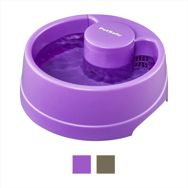 PetSafe Current Circulating Pet Fountain 1 PetSafe Current Circulating Pet Fountain