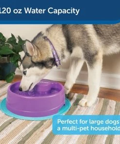 PetSafe Current Circulating Pet Fountain 12 PetSafe Current Circulating Pet Fountain -PetSafe Store 99199 PT3. SY630 V1598662258