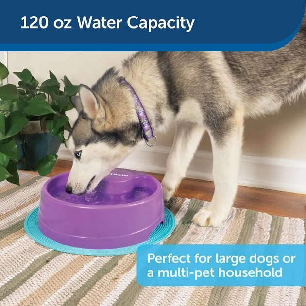 PetSafe Current Circulating Pet Fountain 4 PetSafe Current Circulating Pet Fountain - Image 4