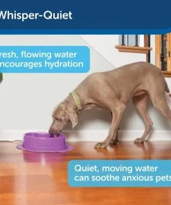 PetSafe Current Circulating Pet Fountain 13 PetSafe Current Circulating Pet Fountain -PetSafe Store 99199 PT4. SY630 V1598657156