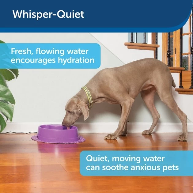 PetSafe Current Circulating Pet Fountain 5 PetSafe Current Circulating Pet Fountain - Image 5