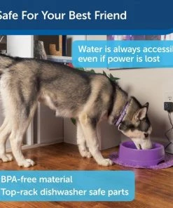 PetSafe Current Circulating Pet Fountain 14 PetSafe Current Circulating Pet Fountain -PetSafe Store 99199 PT5. SY630 V1598651171