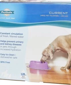 PetSafe Current Circulating Pet Fountain 16 PetSafe Current Circulating Pet Fountain -PetSafe Store 99199 PT7. SY630 V1545232928