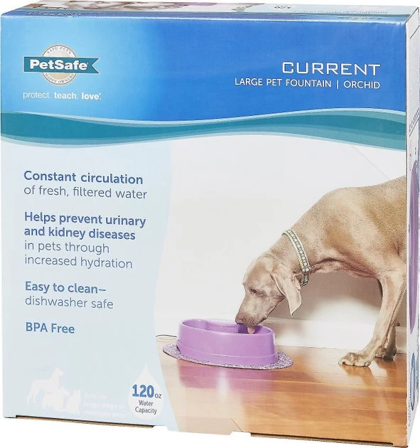 PetSafe Current Circulating Pet Fountain 8 PetSafe Current Circulating Pet Fountain - Image 8